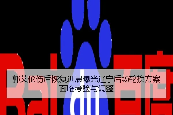 郭艾伦伤后恢复进展曝光辽宁后场轮换方案面临考验与调整
